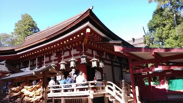 ハイカー 日本の祭り-